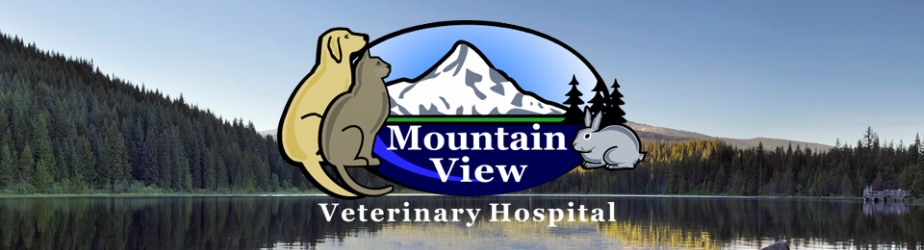 Mountain View Veterinary Hospital<br /><br />